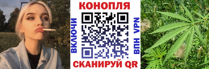 Бошки Шишки гибрид  Безенчук 